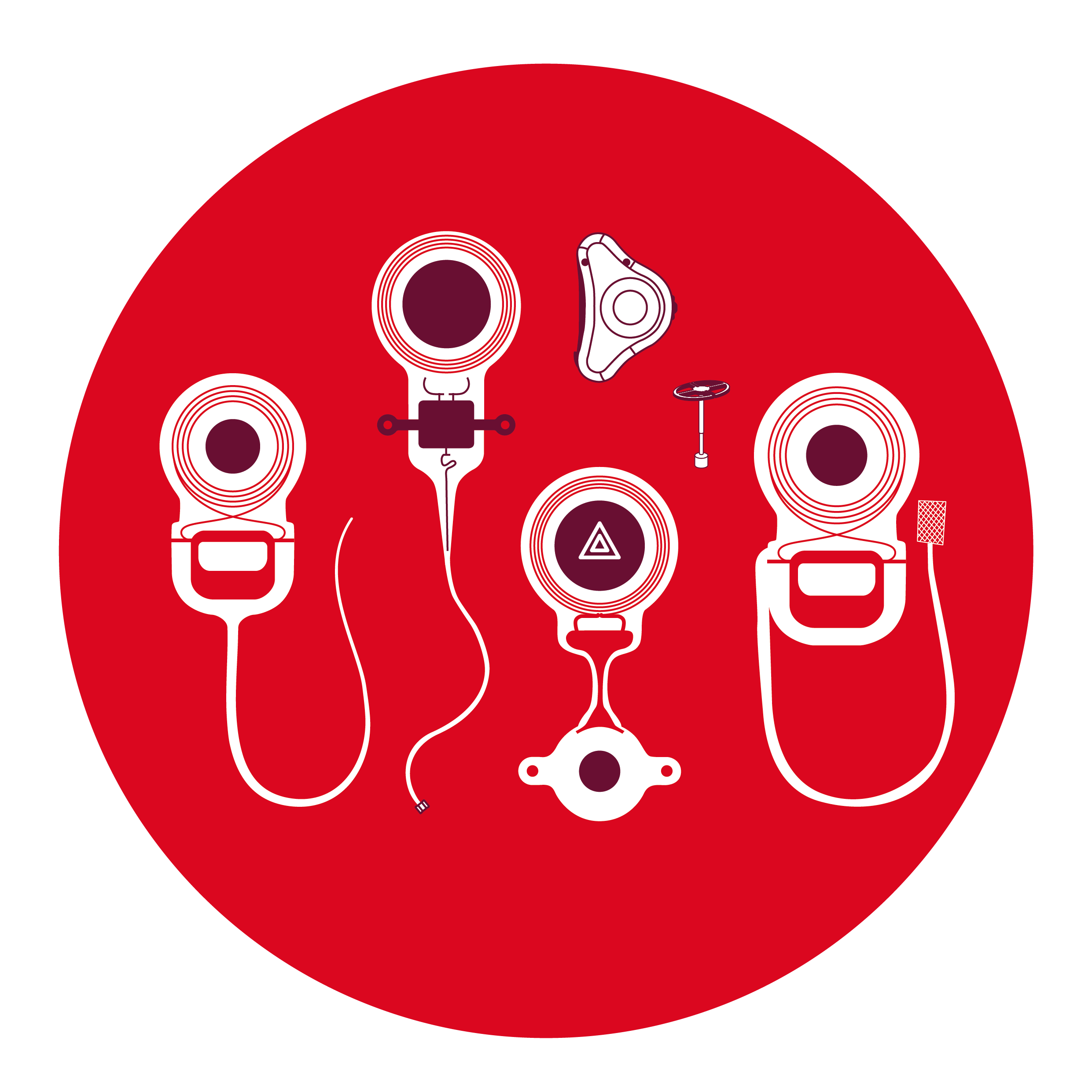 Portfolio Icon