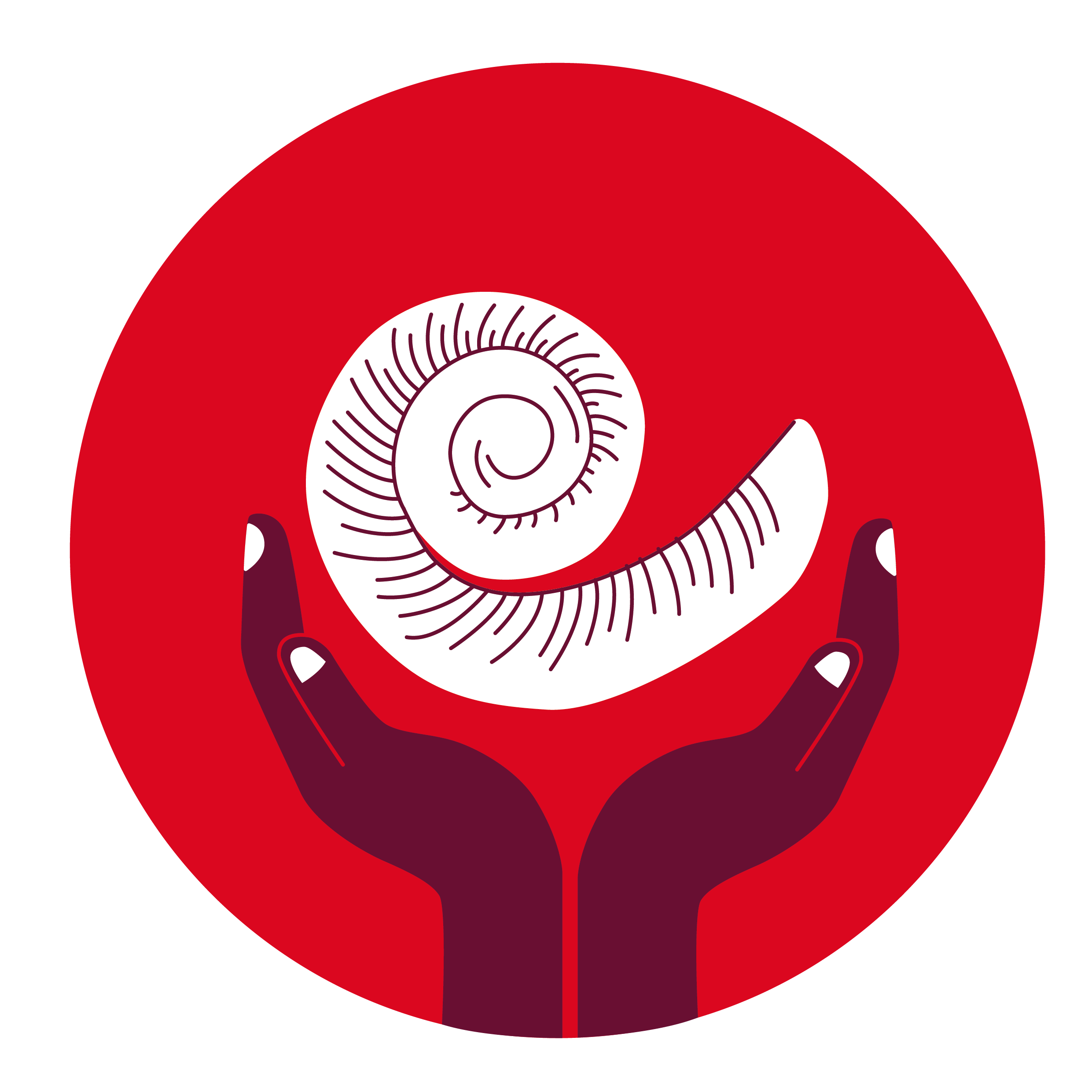 Portfolio Icon